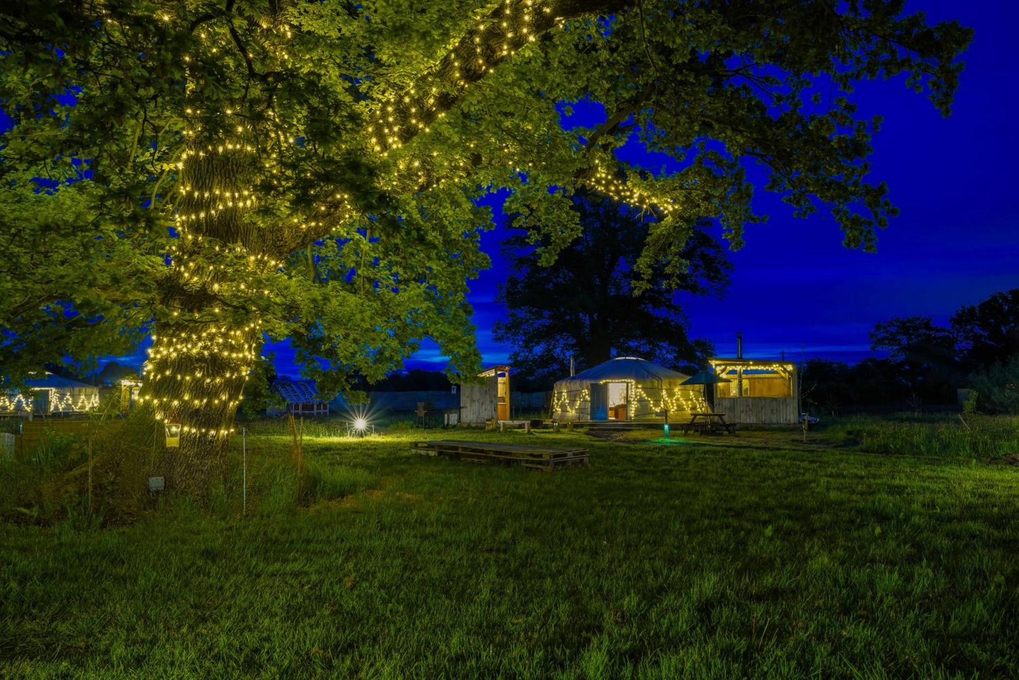 Glamp And Tipple Ltd Hotel Great Ellingham Buitenkant foto